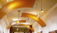 infusions-canopy infusions-canopy