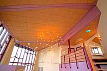 ligna1 ligna1